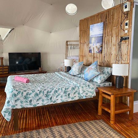 Glamping Dome Dauin Beach Resort Zewnętrze zdjęcie
